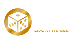 Vivo Gaming